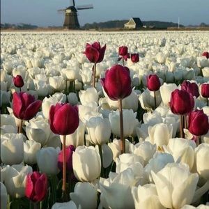 Meet your Posher, Zahra